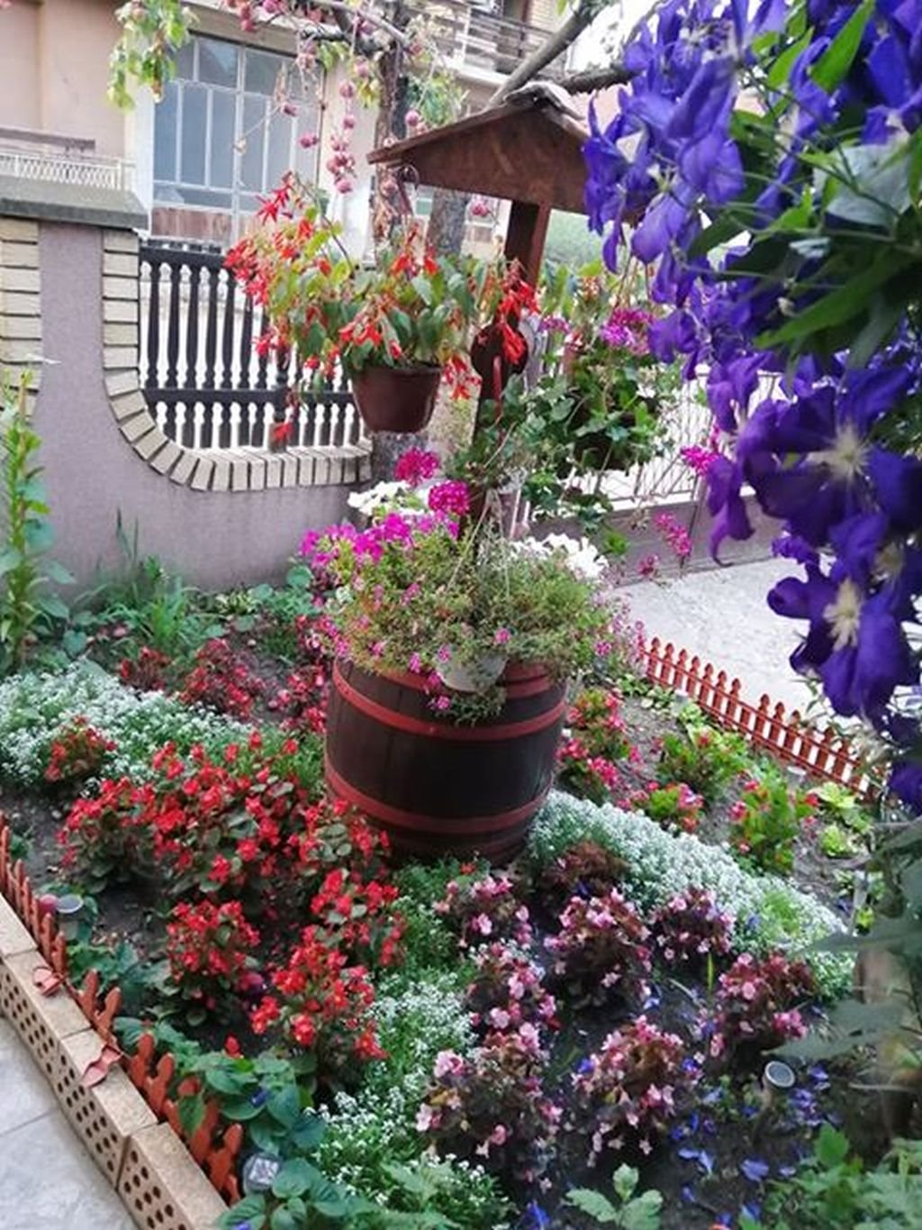 LETNJA BAŠTA I CVEĆE NAŠE ČITATELJKE SVETLANE VASIĆ BUDE INSPIRACIJU: zavirite u pravo carstvo petunija, begonija, lepog jove i muškatli (FOTO)