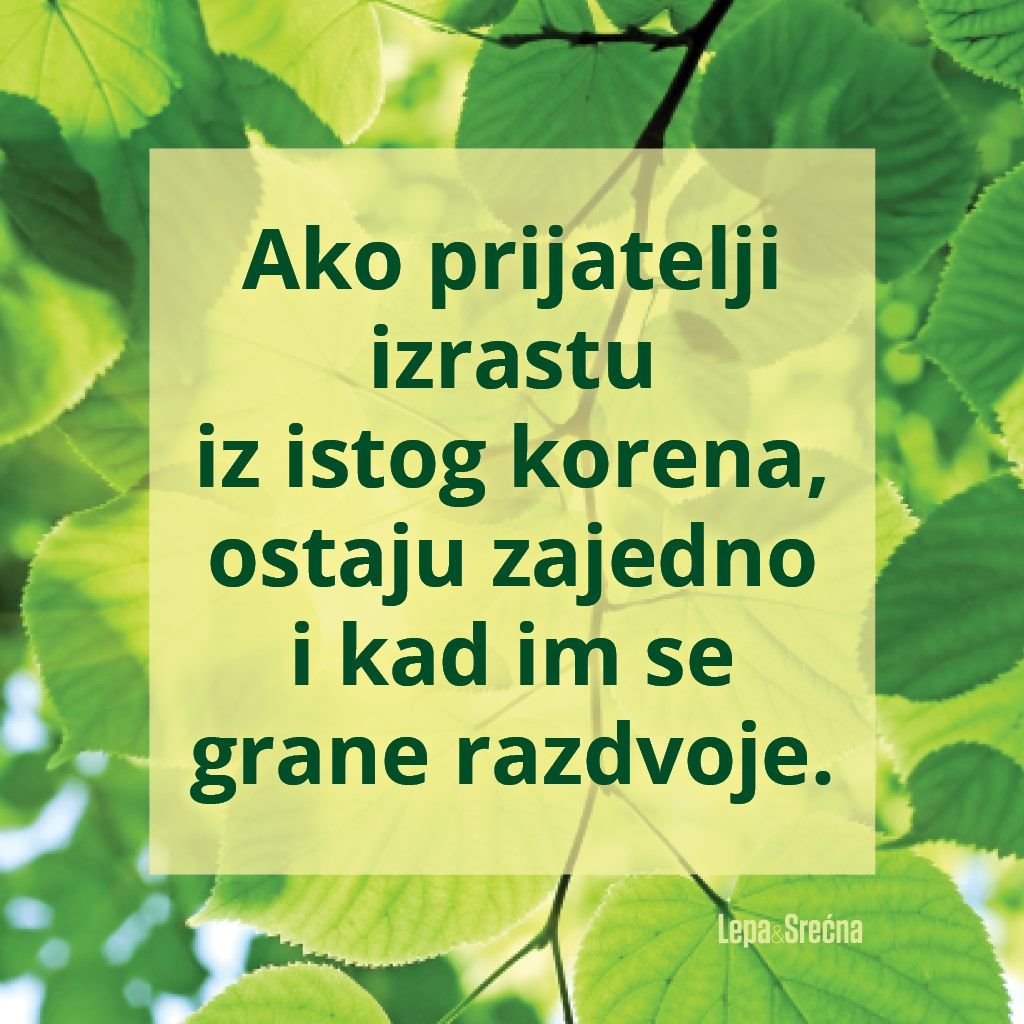 DAN PRIJATELJSTVA PROSLAVITE UZ NAJLEPŠE CITATE: pošaljite lepu poruku prijateljima i pokažite im da mislite na njih (FO