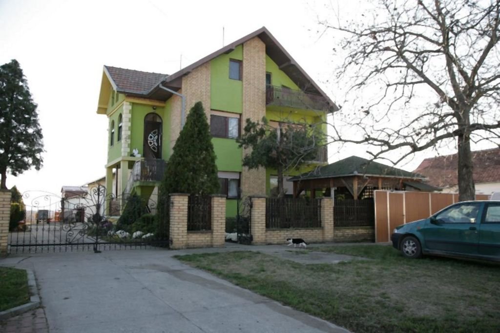 SVADBA CECINOG SINA - SVE SLIKE: Veljko Ražnatović i Bogdana Rodić i gosti na venčanju i veselju (FOTO)