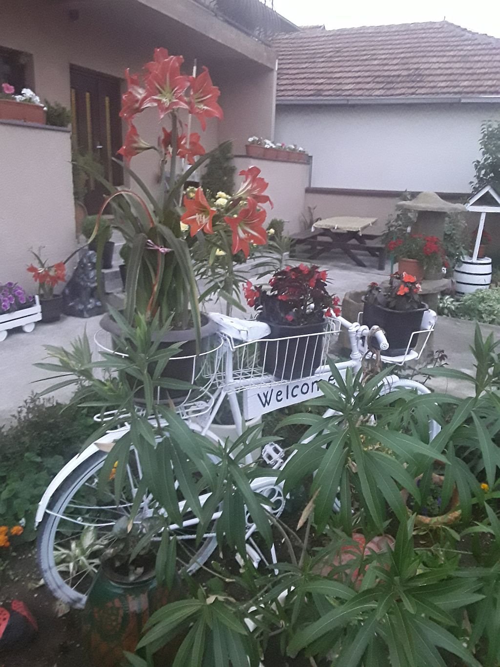 NAJSLAĐE DVORIŠTE U VRANJU: prelep izbor cveća i maštoviti detalji u bašti Lele Nikolić (FOTO)