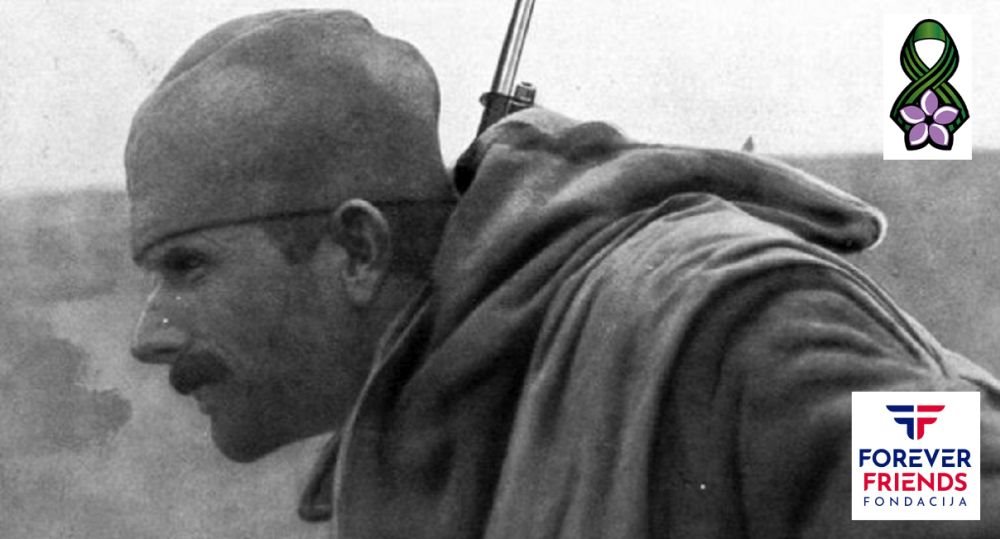 natalijina ramonda sta predstavlja simbol dana primirja u prvom svetskom ratu