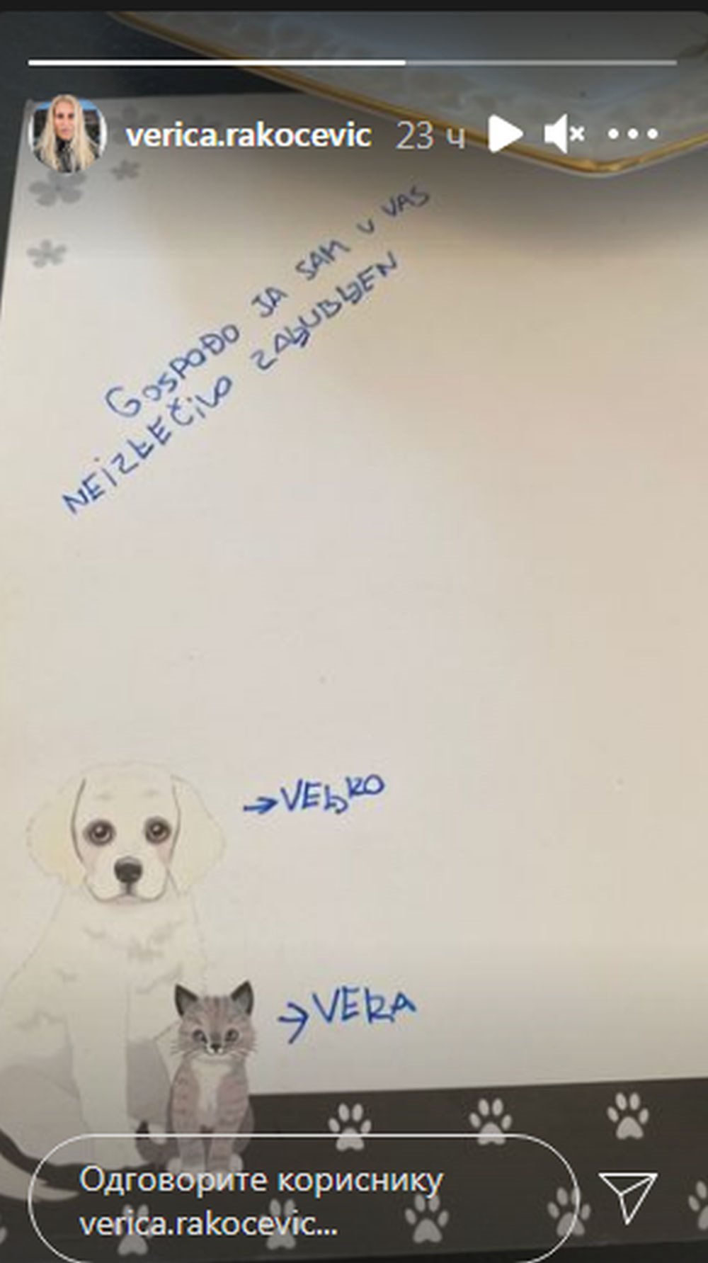 verica rakocevic veljko kuzmancevic