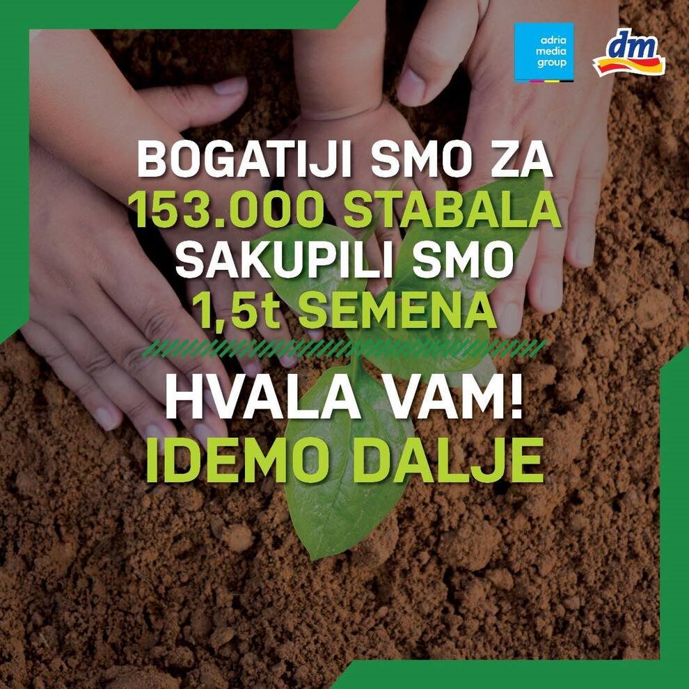 projekat zasadi drvo