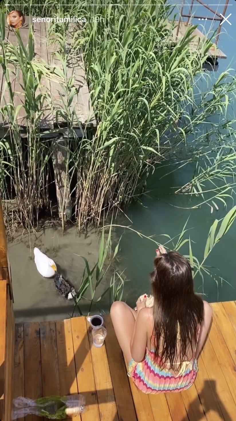 milica pavlovic decko 