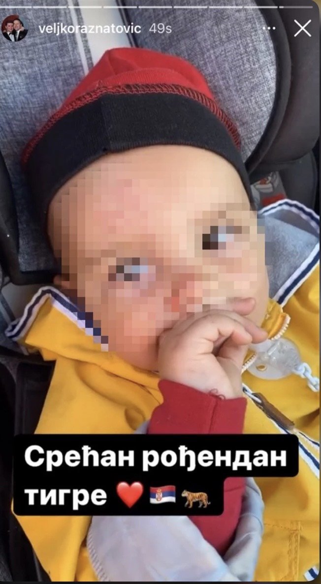 cecin unuk zeljko raznatovic rodjendan