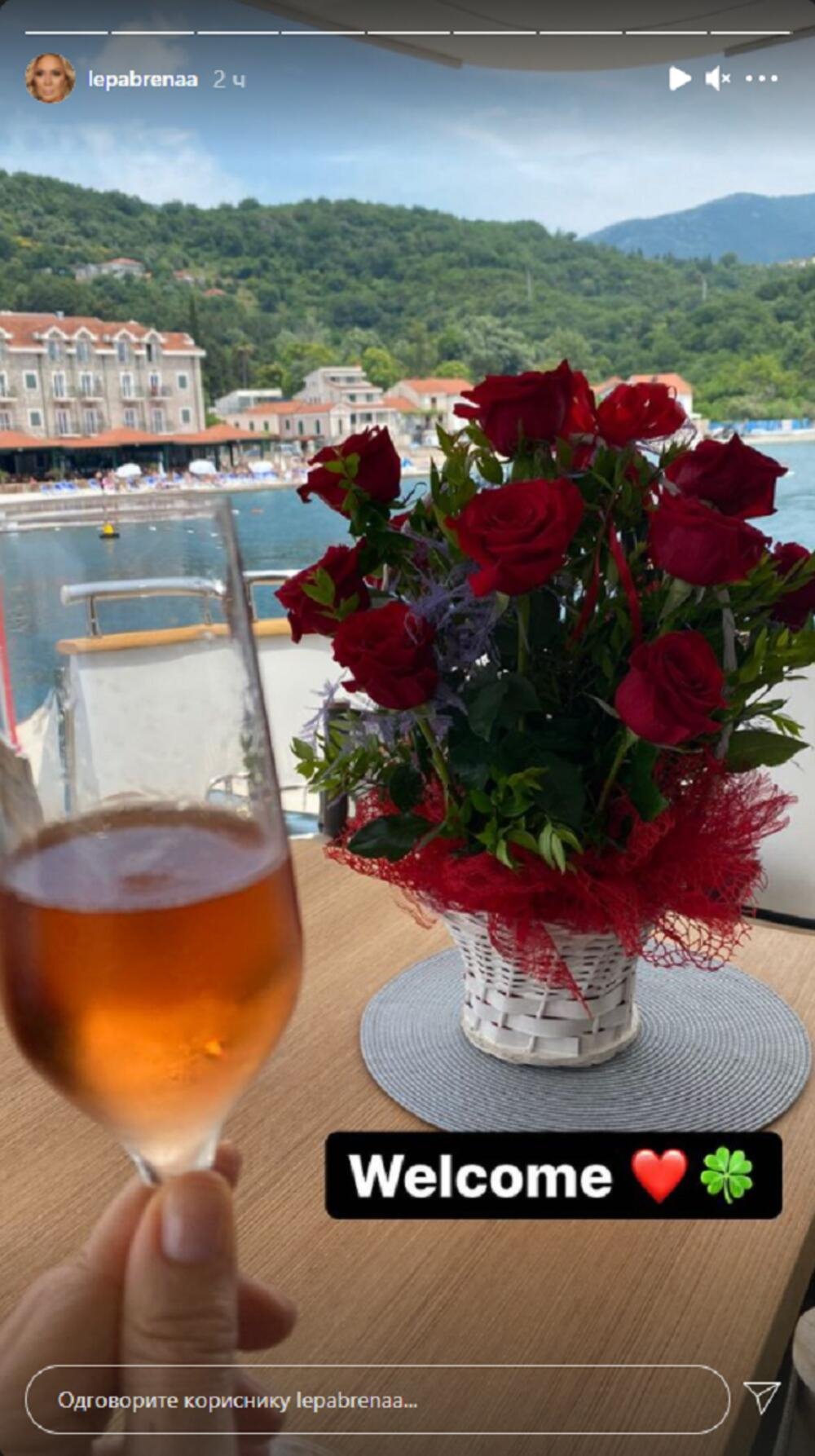 lepa brene boba zivojinovic jahta