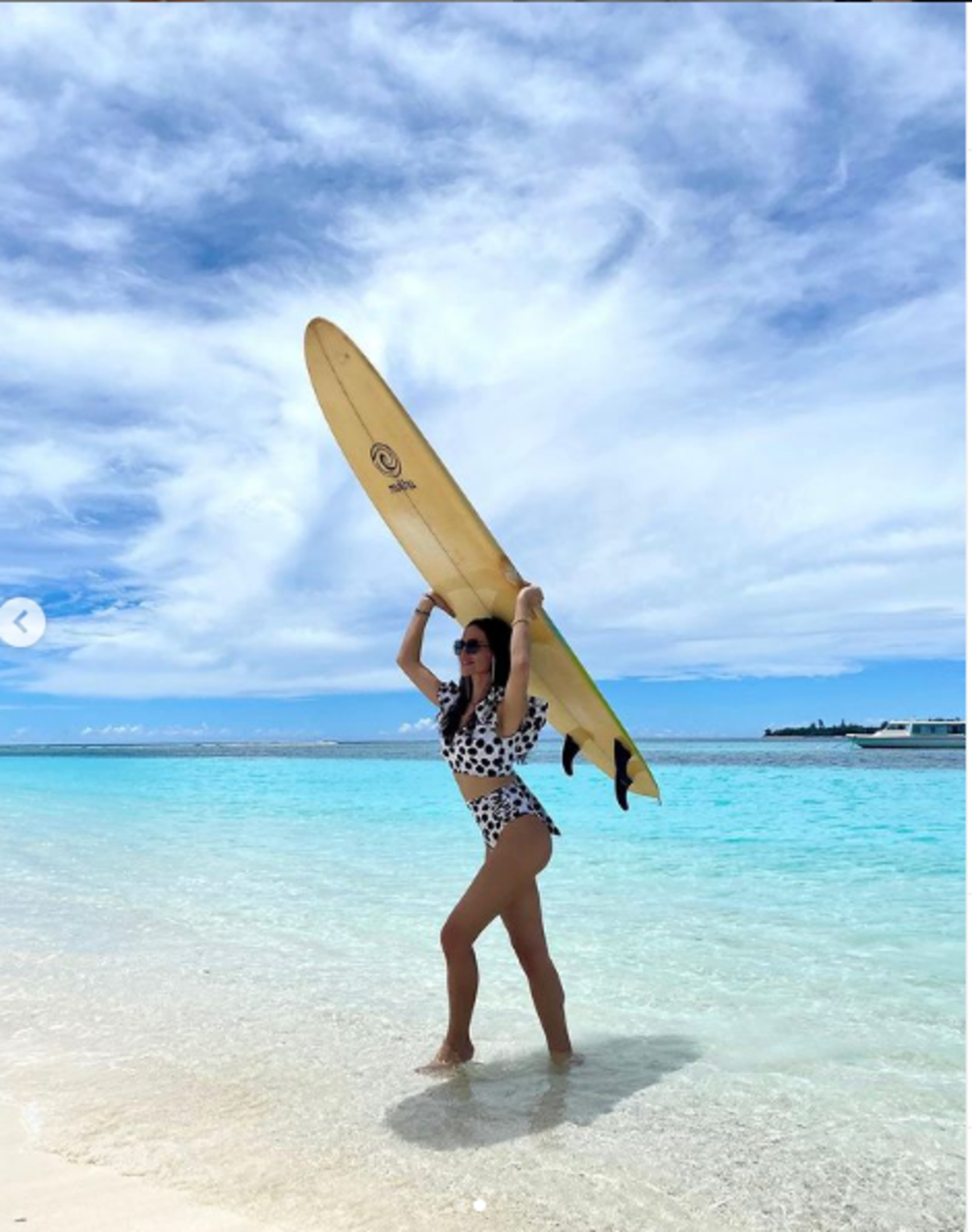 severina i igor razvod