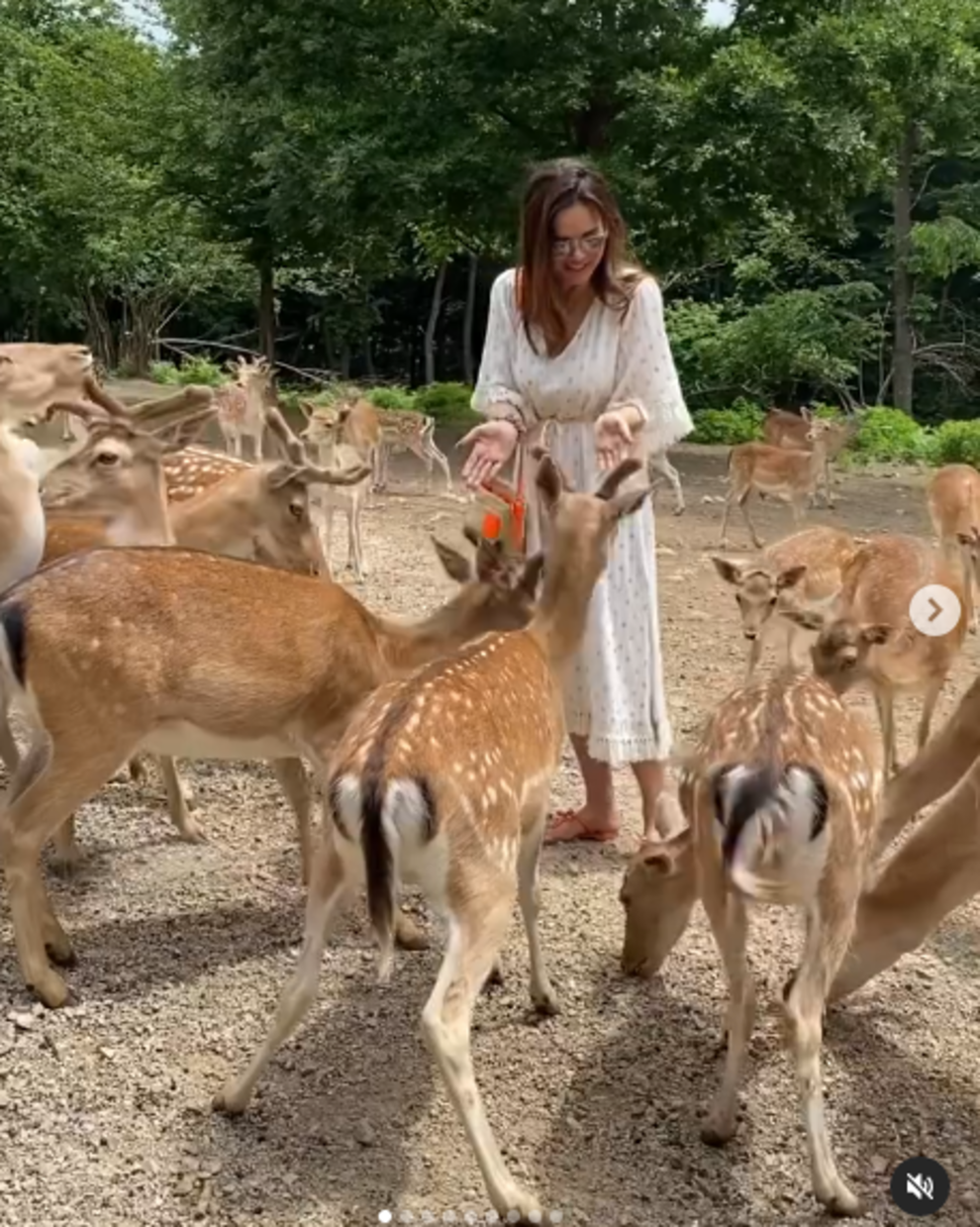 igor kojic i  severina razvod