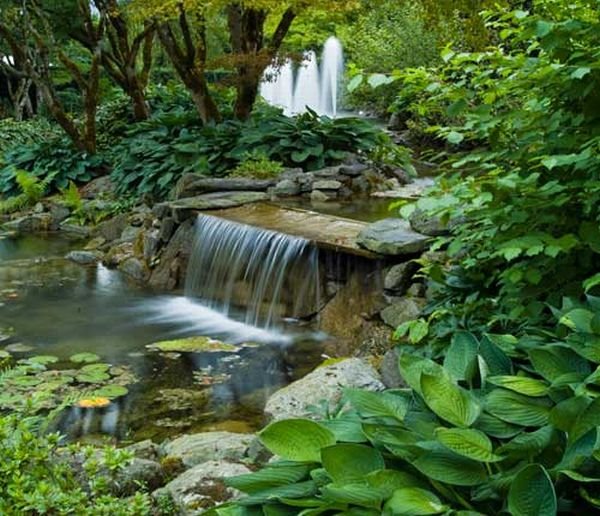 Cvetni efekti u formalnom vrtu