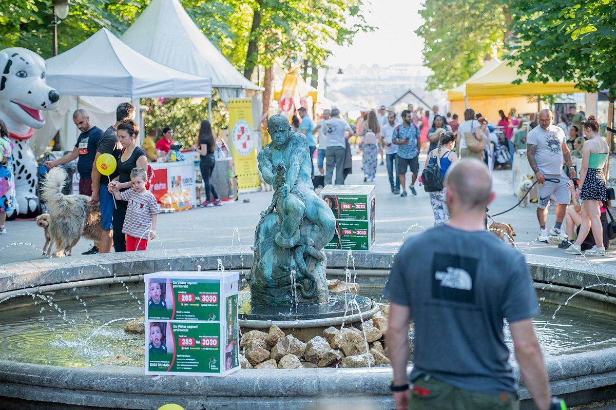 festival ulicni psi 9.jpg