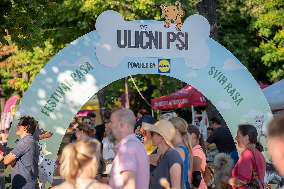 festival ulicni psi 7.jpg