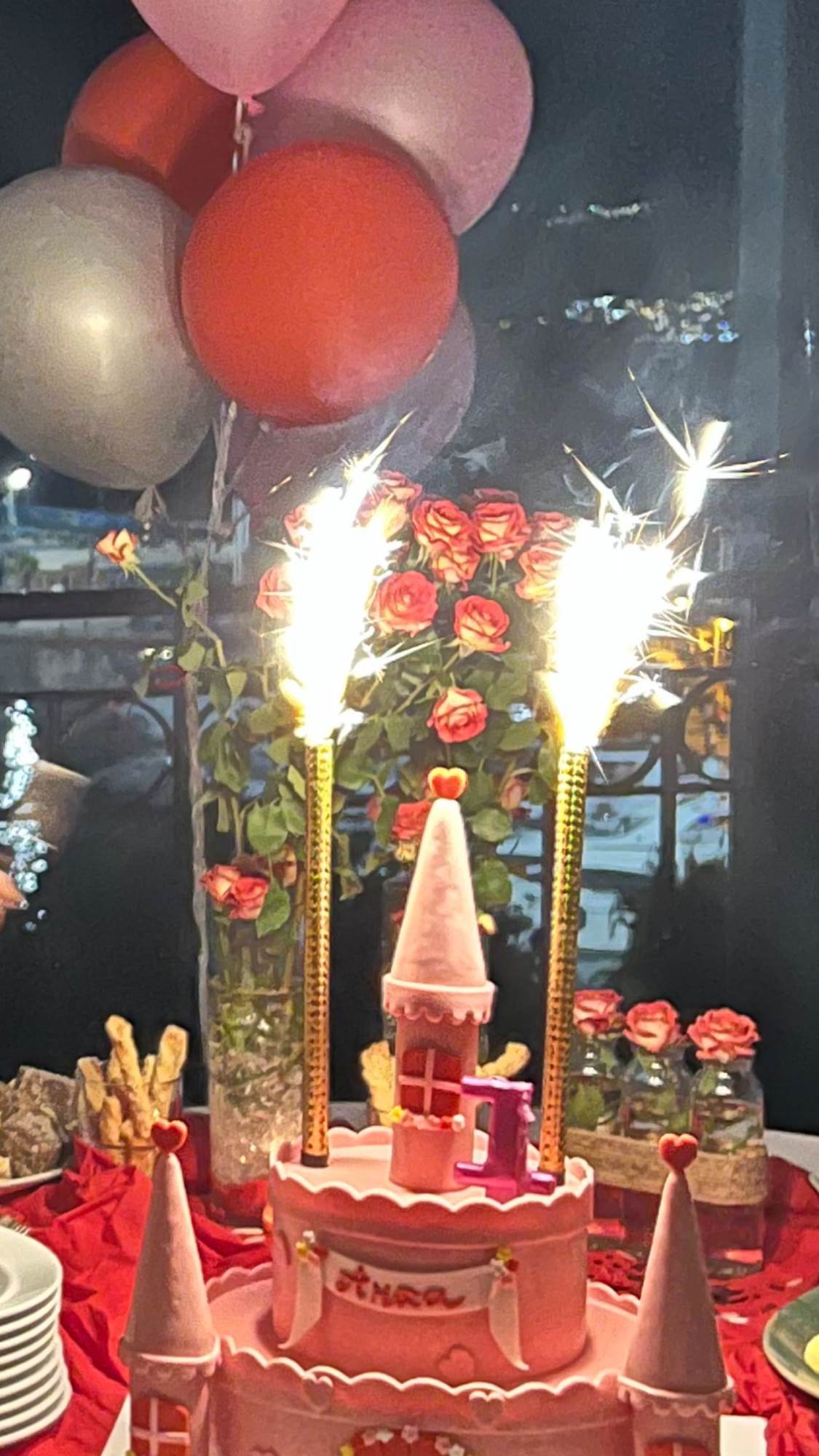 nevena bozovic slavi rodjendan cerki 2.jpg