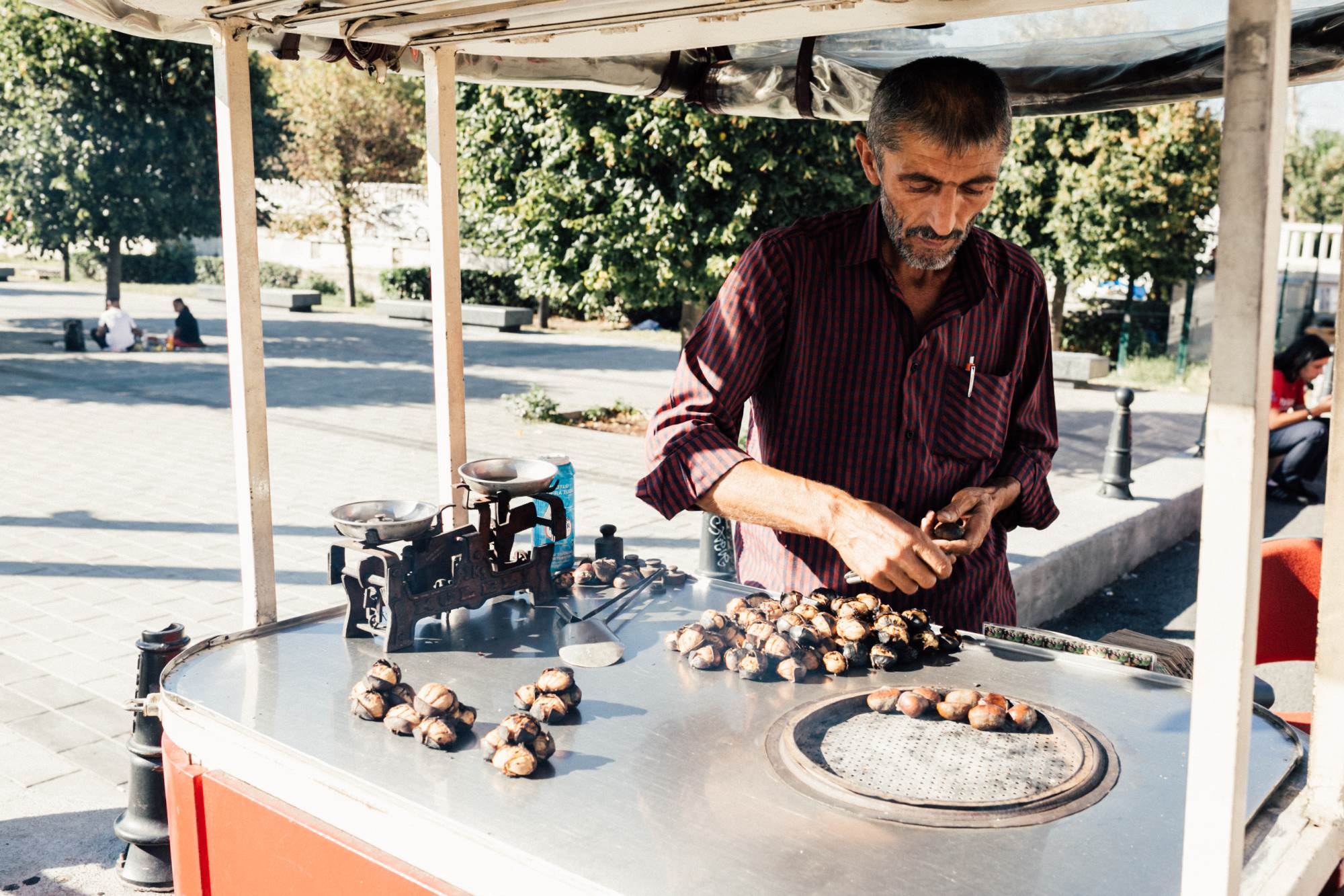 Ulic-ni-prodavac-kestenja-u-Istanbulu.jpg