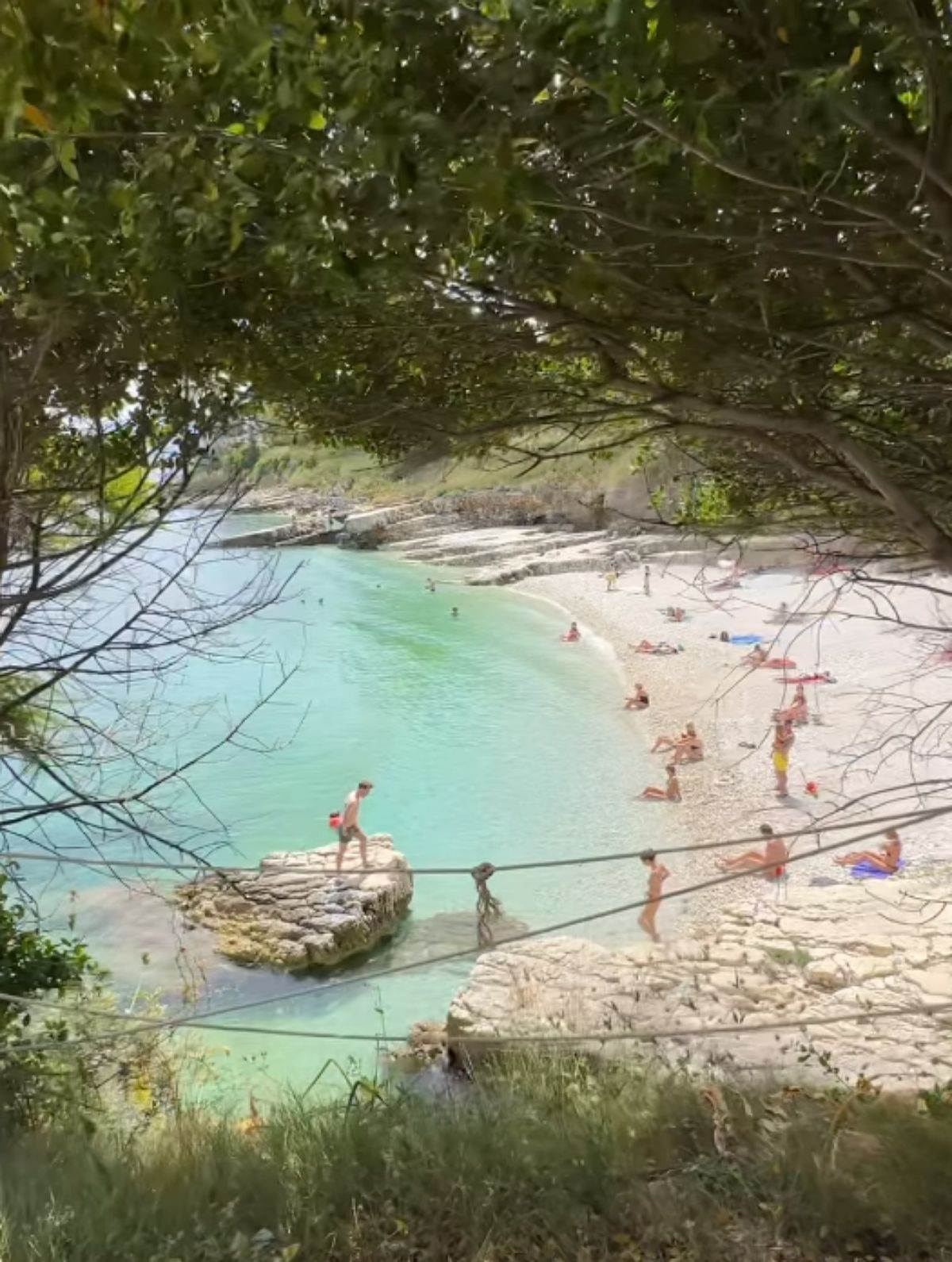 masa memedovic- 6.jpg