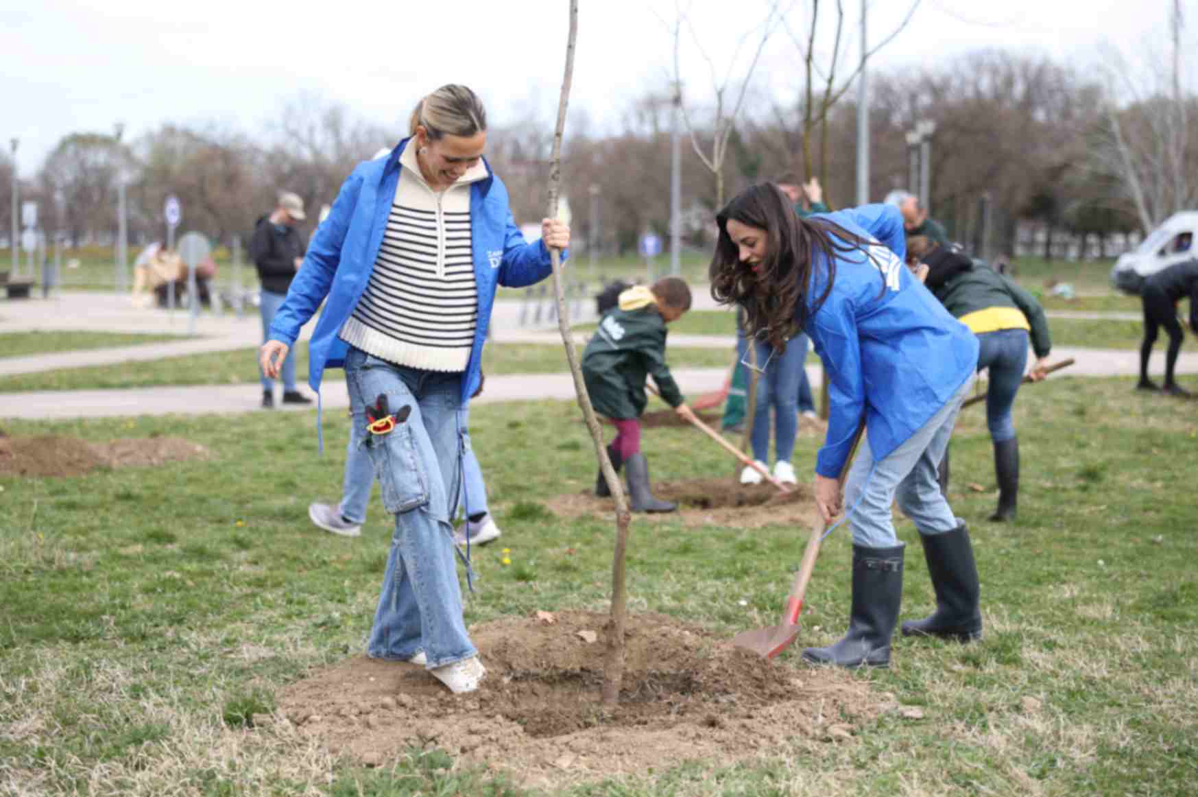 zasadi drvo 2024 7.JPG