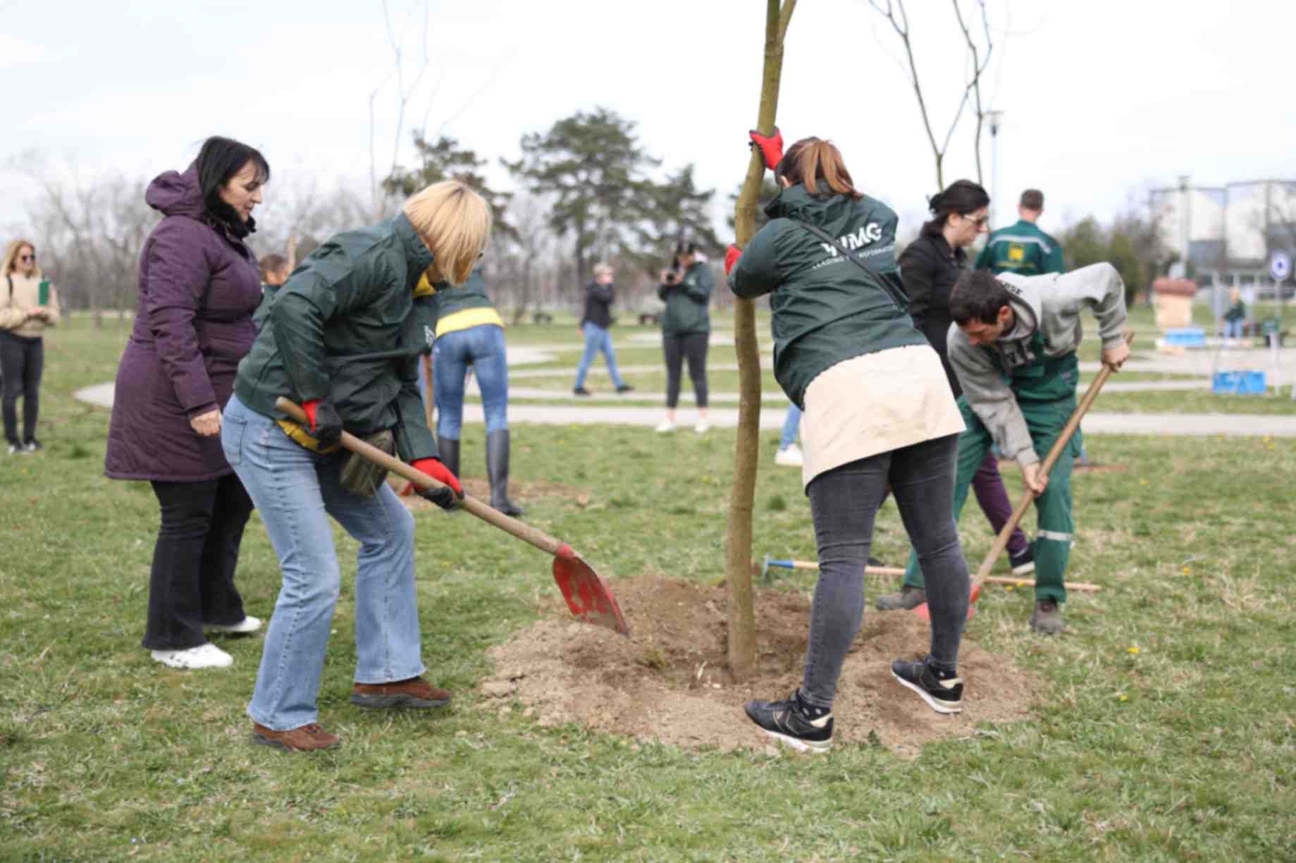 zasadi drvo 2024 6.JPG