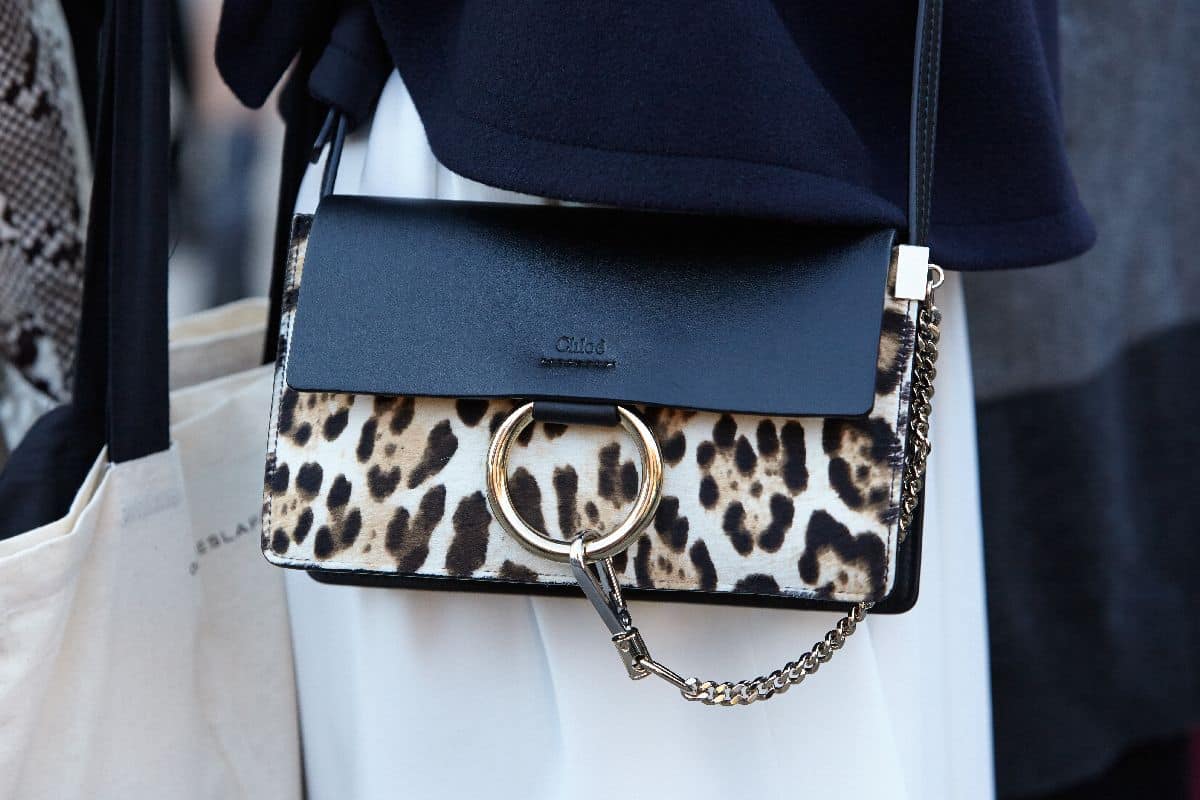 leopard kloe tasna-min.jpg