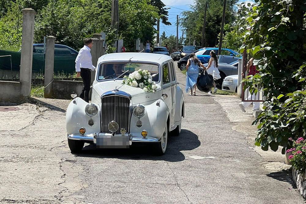 udala se tamara milutinovic bentli.jpg