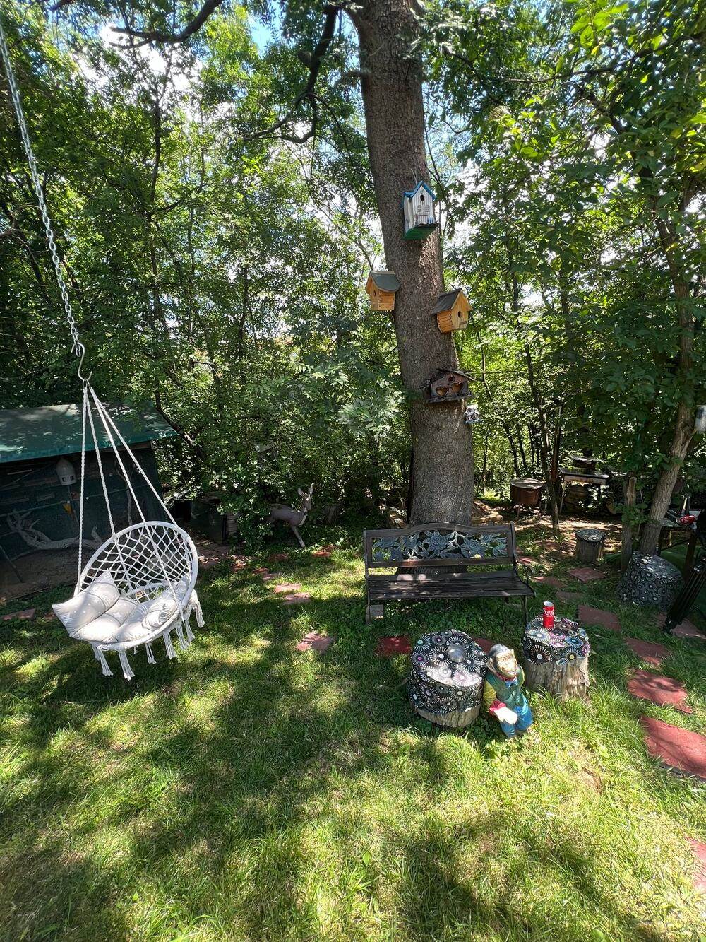 udala se tamara milutinovic kuca dvoriste.jpg