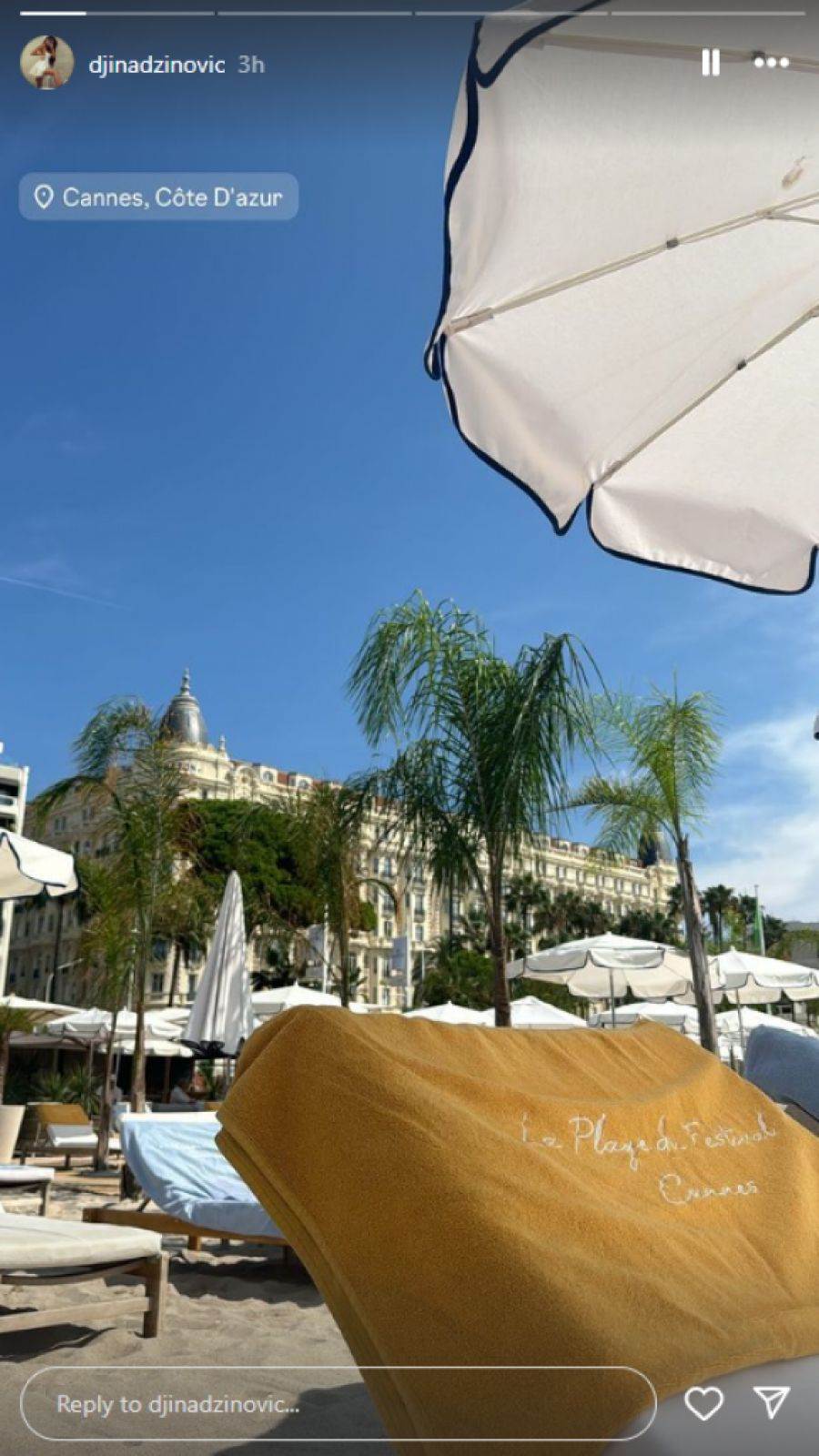 djina dzinovic 6.jpg