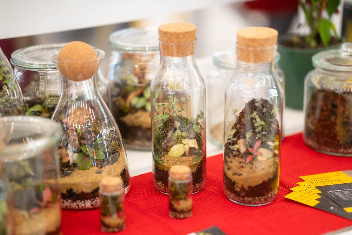 sensa 2024 piazzeta srece 21.jpg