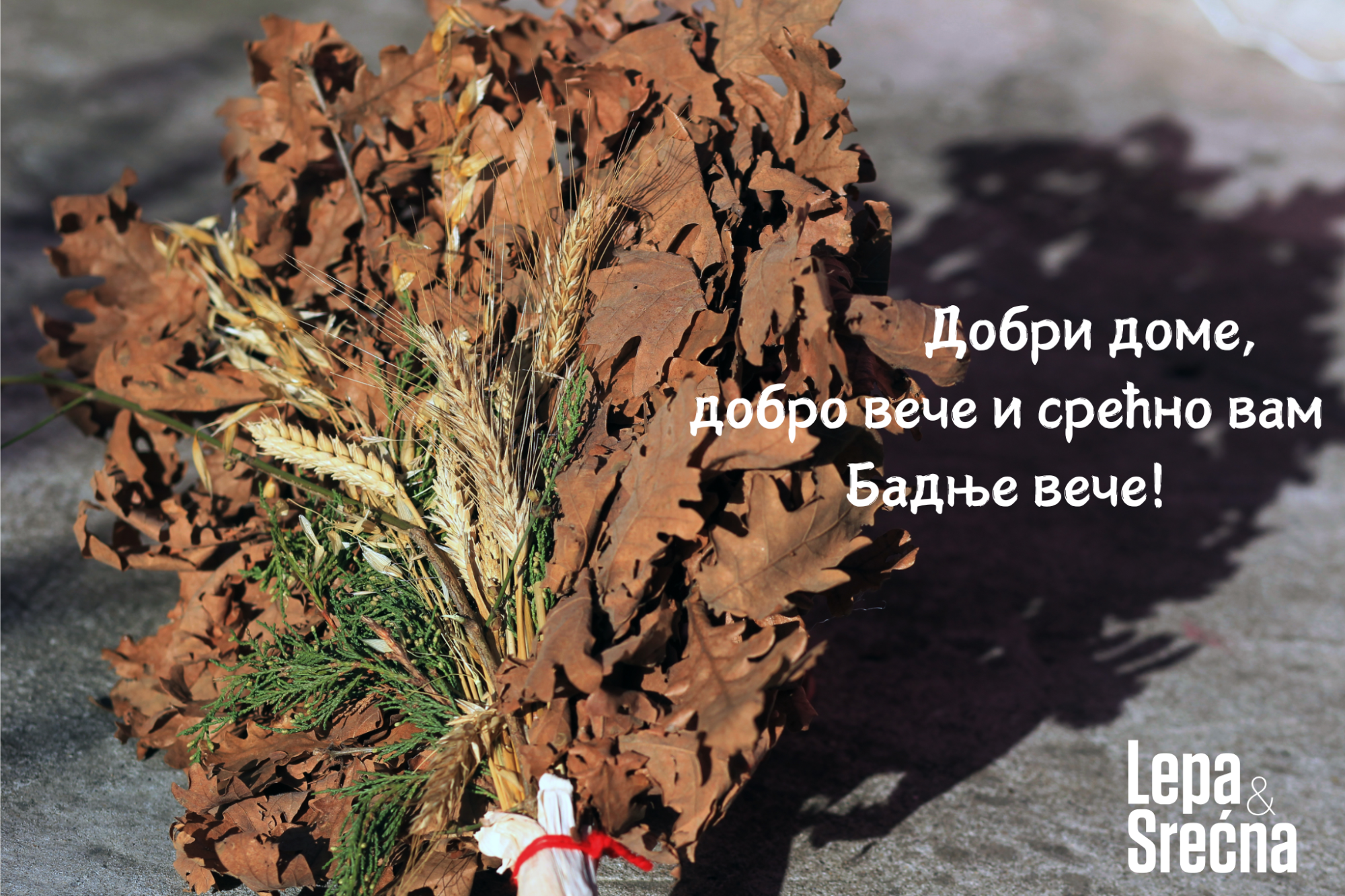 Untitled design (2).png