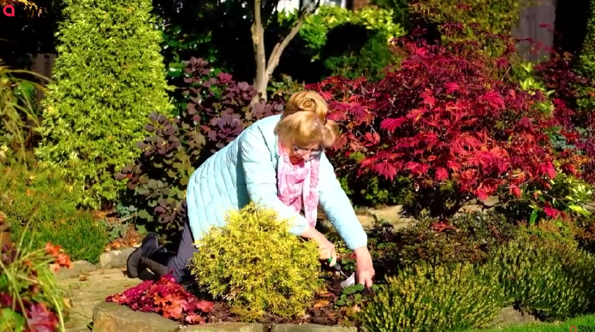 Najlepša bašta u Britaniji