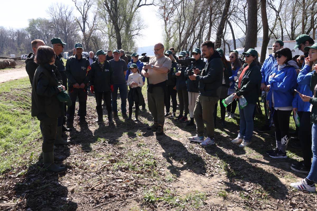 zasadi drvo 4 Damir Dervisagic.jpg