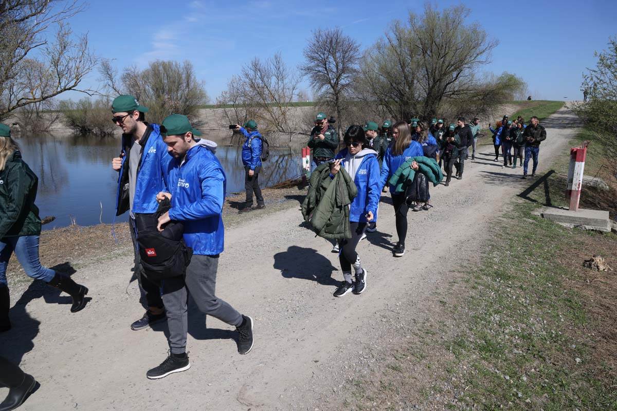 zasadi drvo 3 Damir Dervisagic.jpg