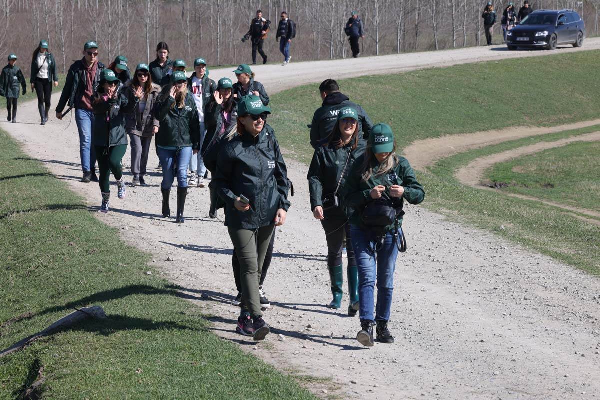 zasadi drvo 1 Damir Dervisagic.jpg