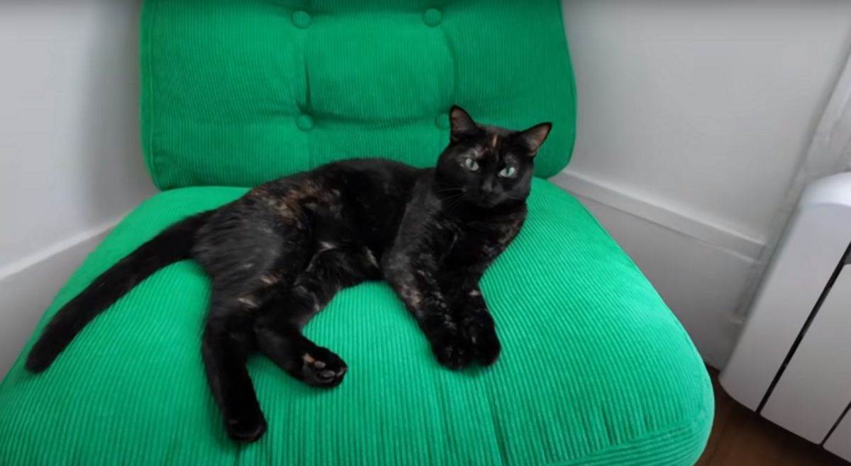 mali stan od 40 kvadrata 13.jpg