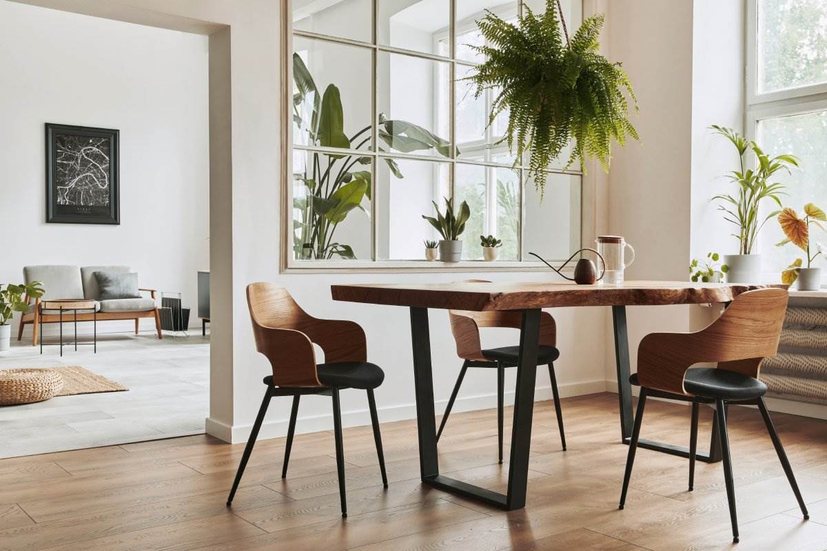 Drvo u enterijeru i kako kombinovati