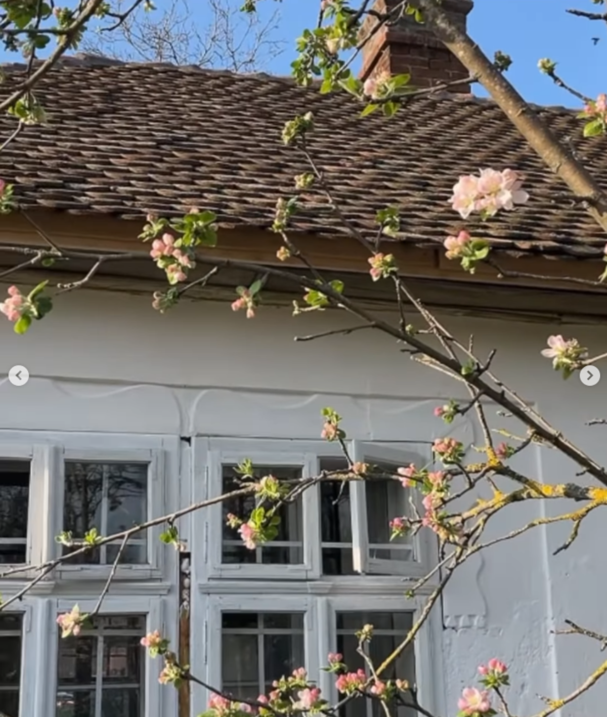 Zulu snajka Naledi Repaja renovirala staru trošnu kuću