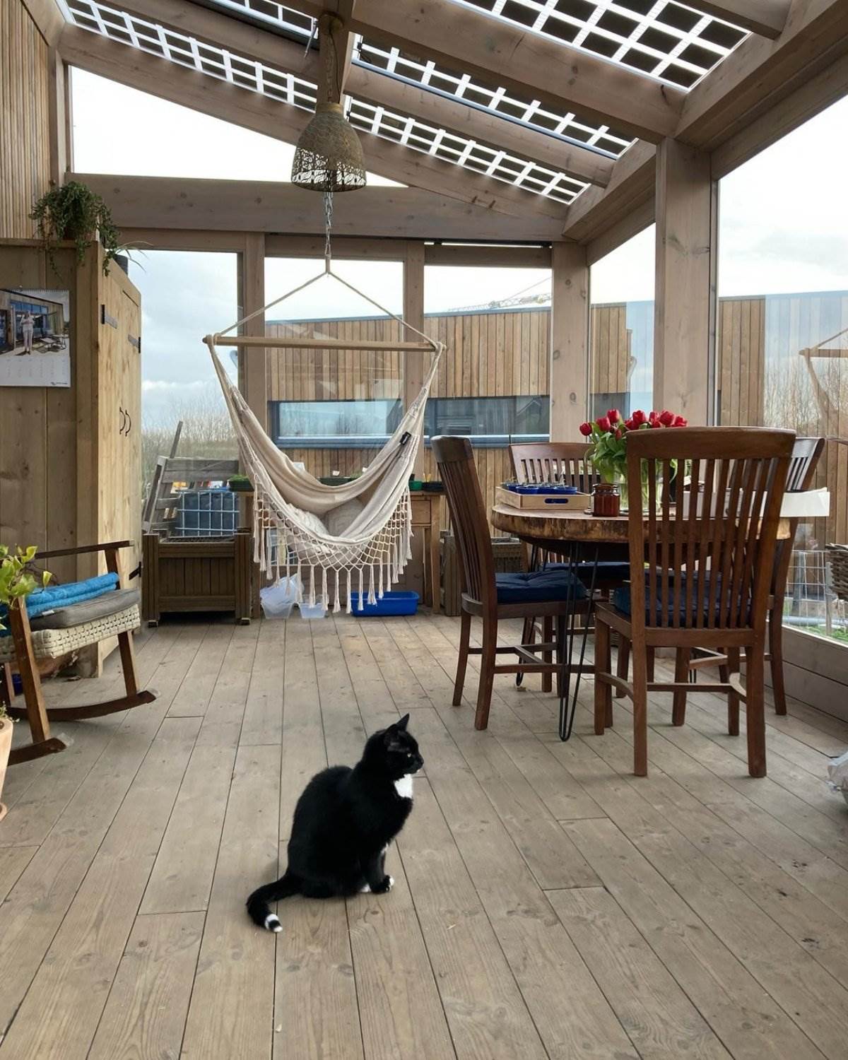 Marjolein Jonker živi u kući od svega 24 kvadrata