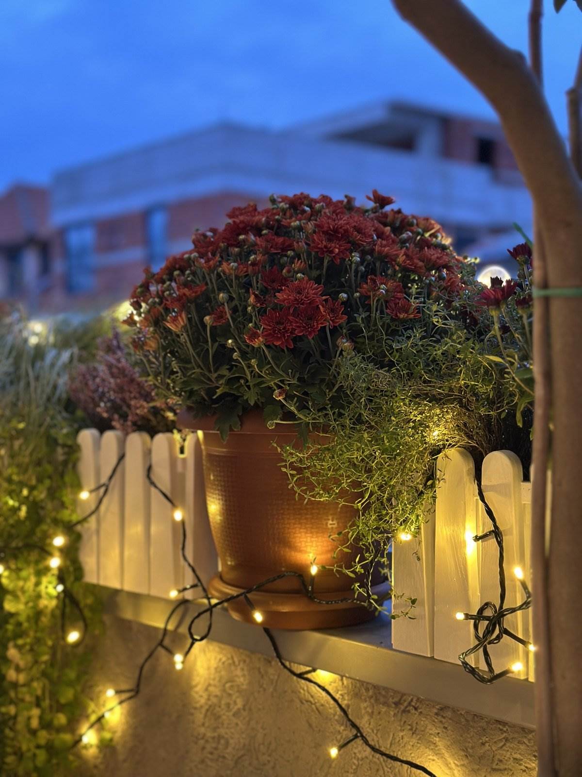 Cvetanka Belički iz Makedonije, jesenja terasa