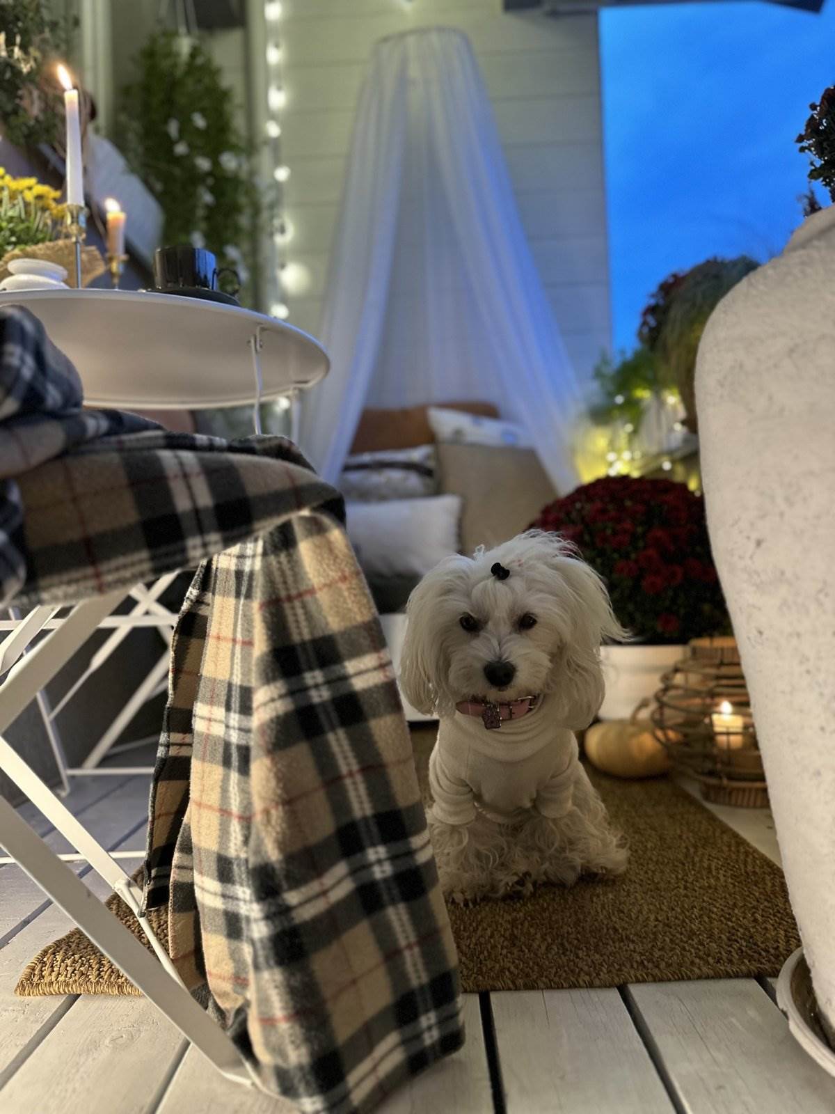 Cvetanka Belički iz Makedonije, jesenja terasa