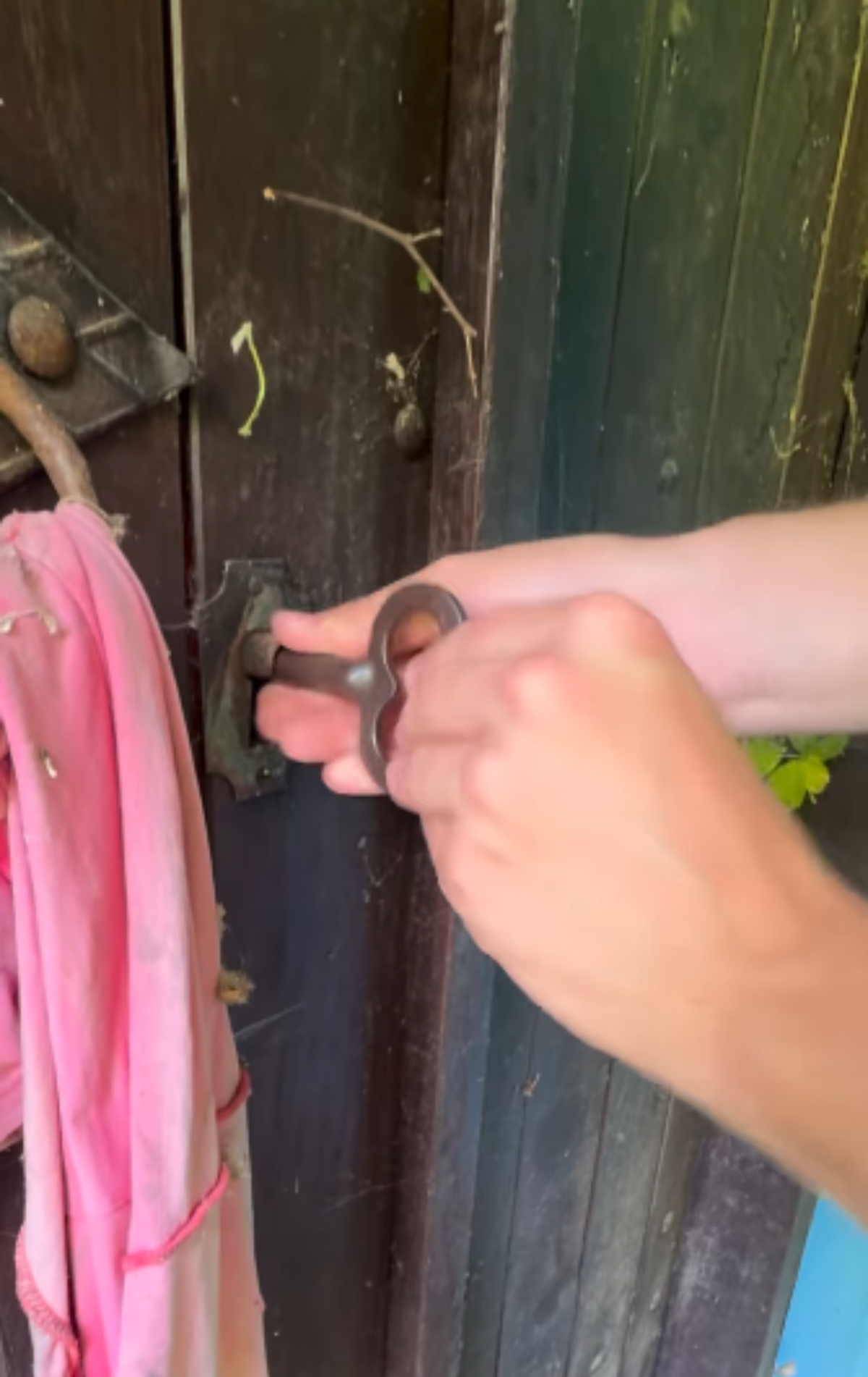 Amerikanac kupio kuću u šumi