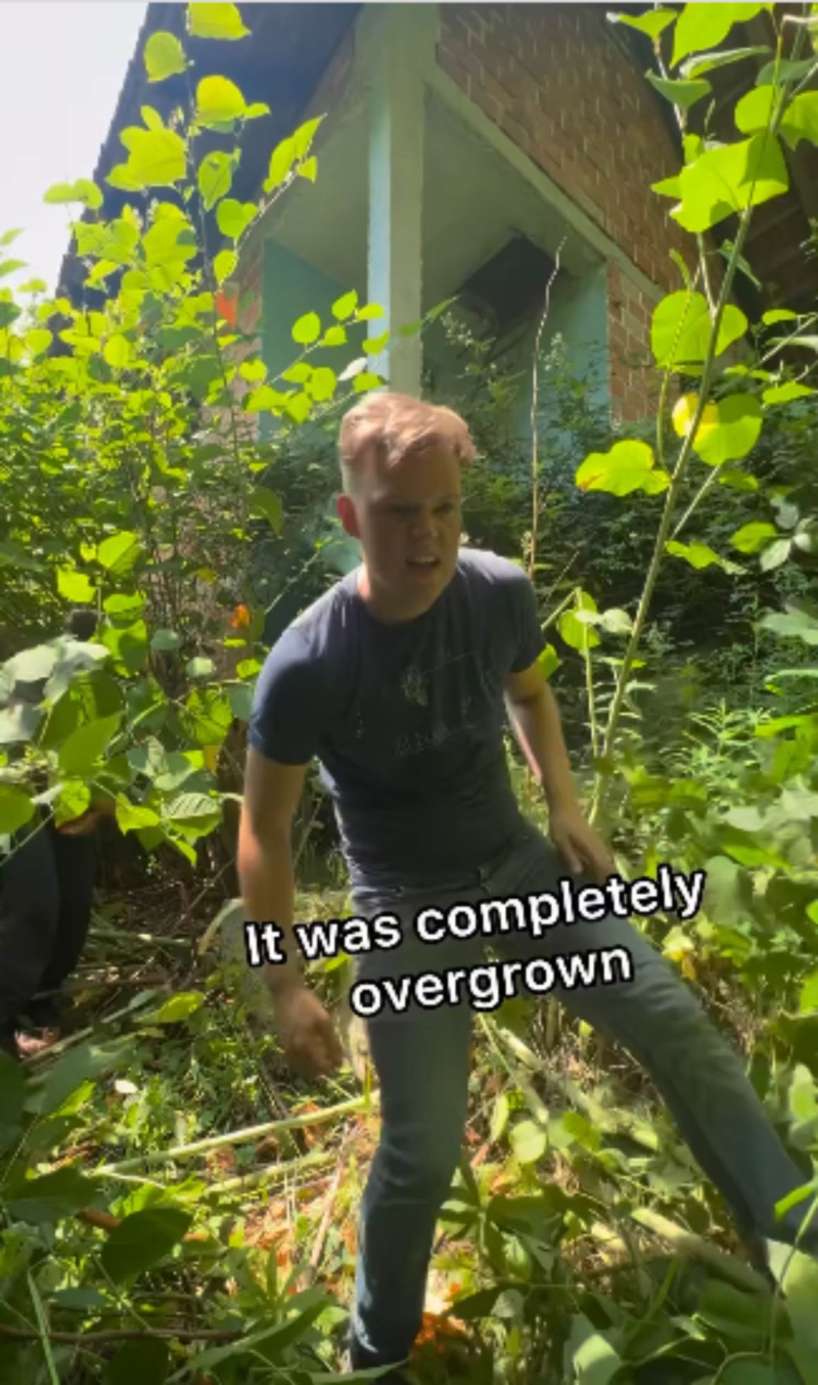 Amerikanac kupio kuću u šumi