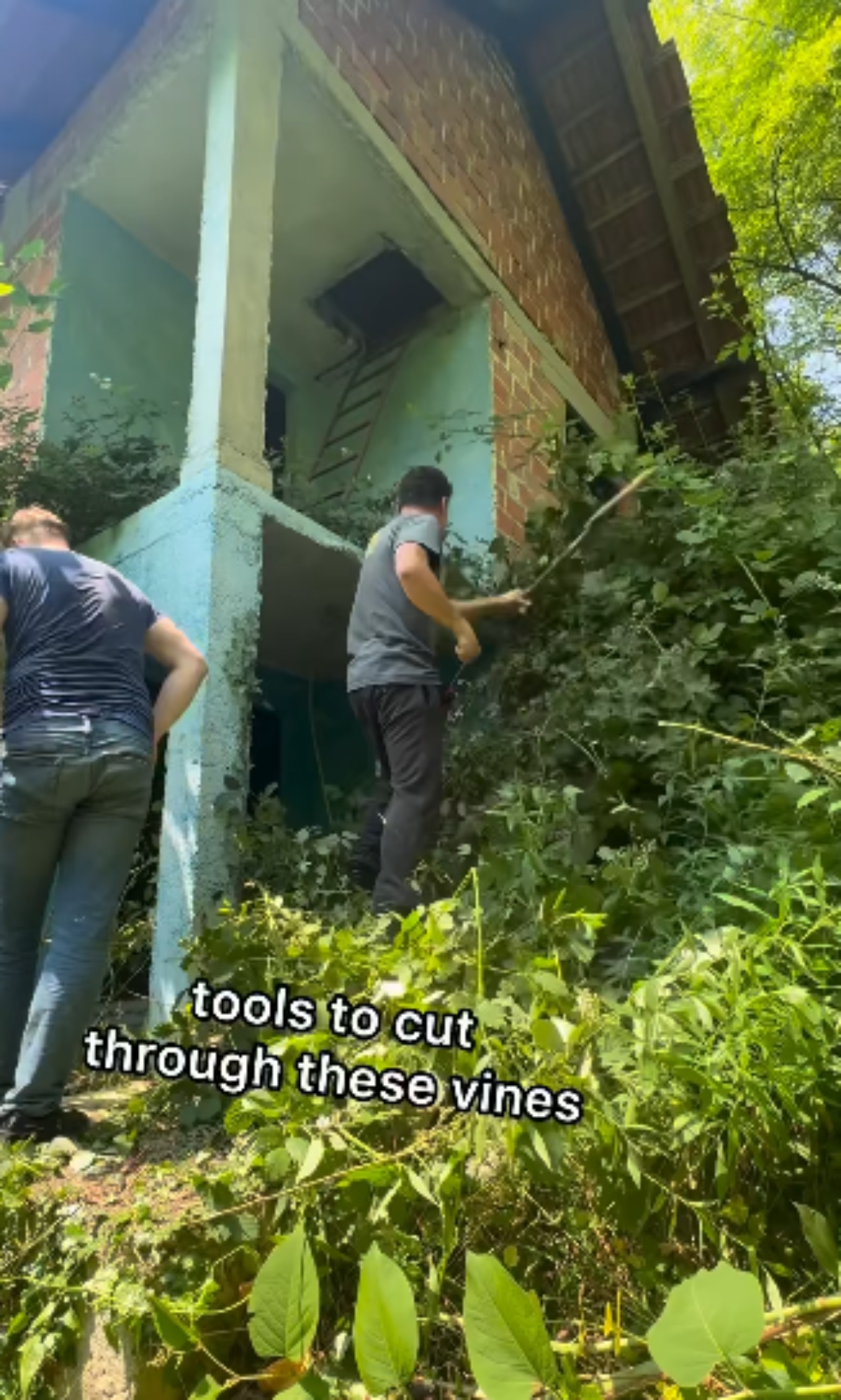 Amerikanac kupio kuću u šumi