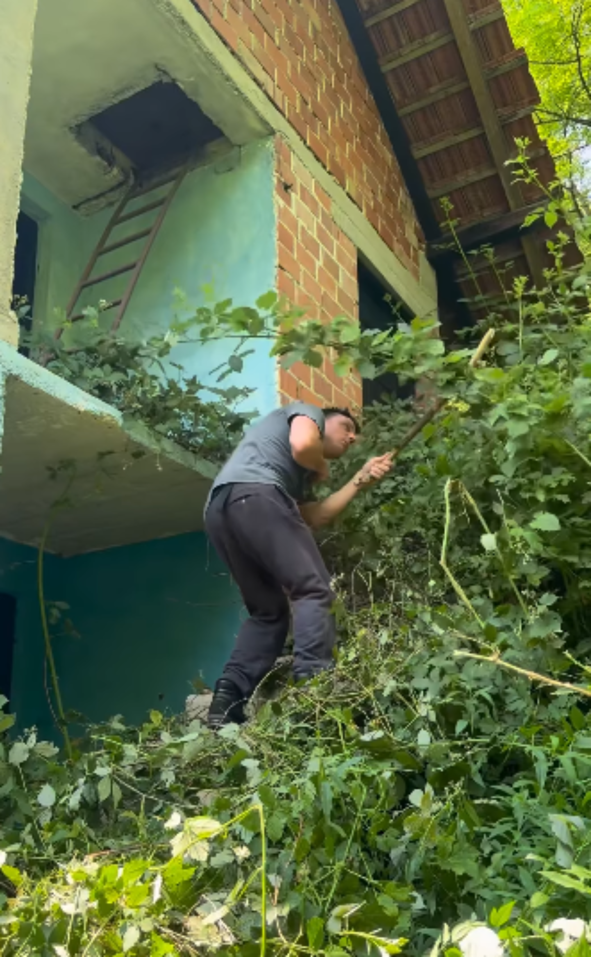 Amerikanac kupio kuću u šumi