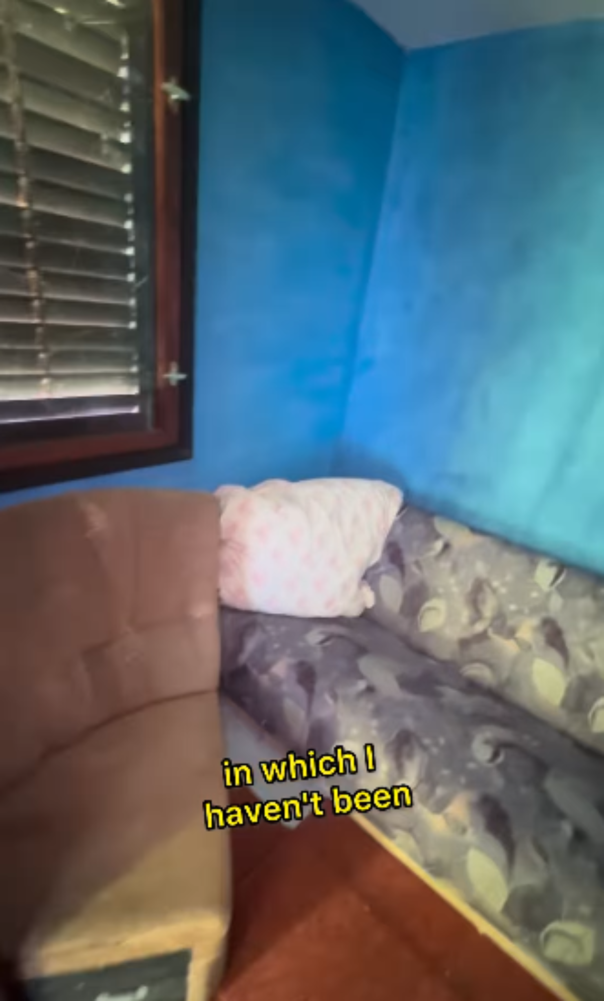 Amerikanac kupio kuću u šumi