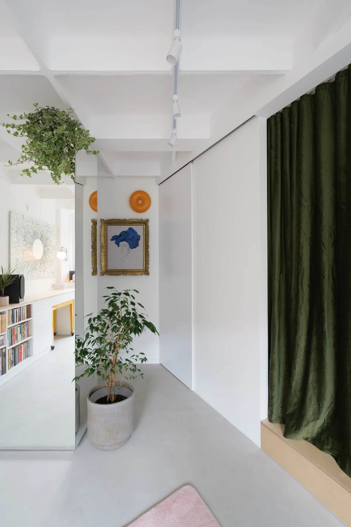 Mali stan u Novom Sadu Parazit Habitat