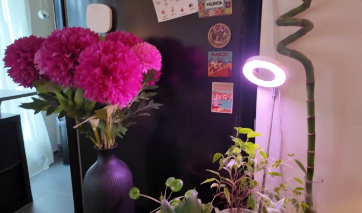 Mali stan od 34 kvadrata 09.jpg