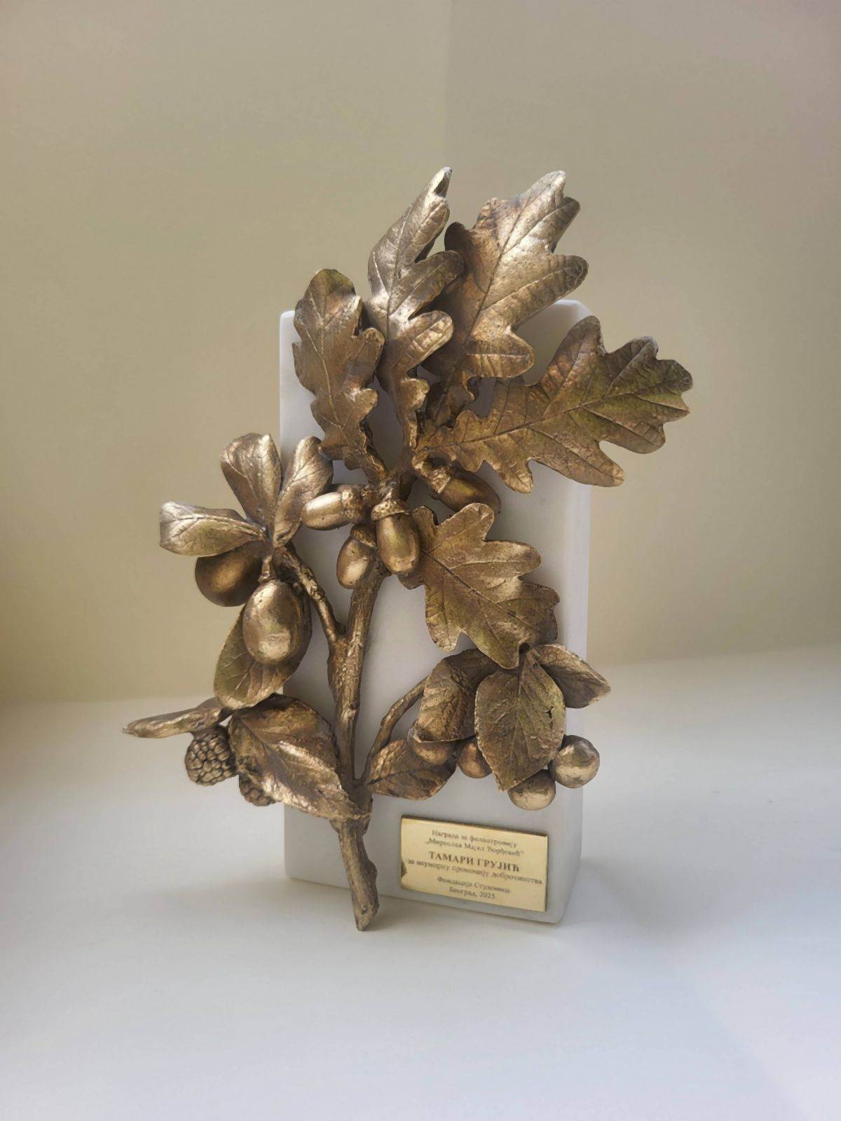 1 Nagrada za filantropiju 2025 umetnik Bogdan Djukanovic.jpg