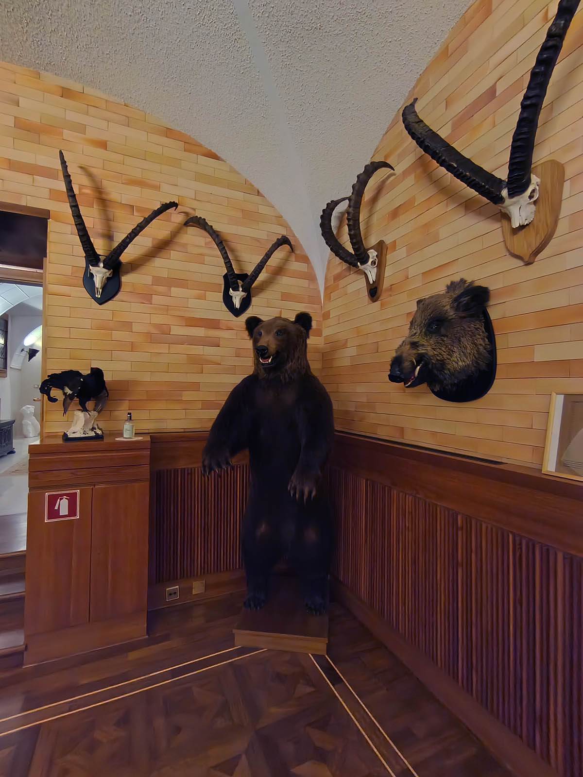 Preparirani medved, divlja svinja i druga divljač u lovačkoj sobi rezidencije Brdo kod Kranja