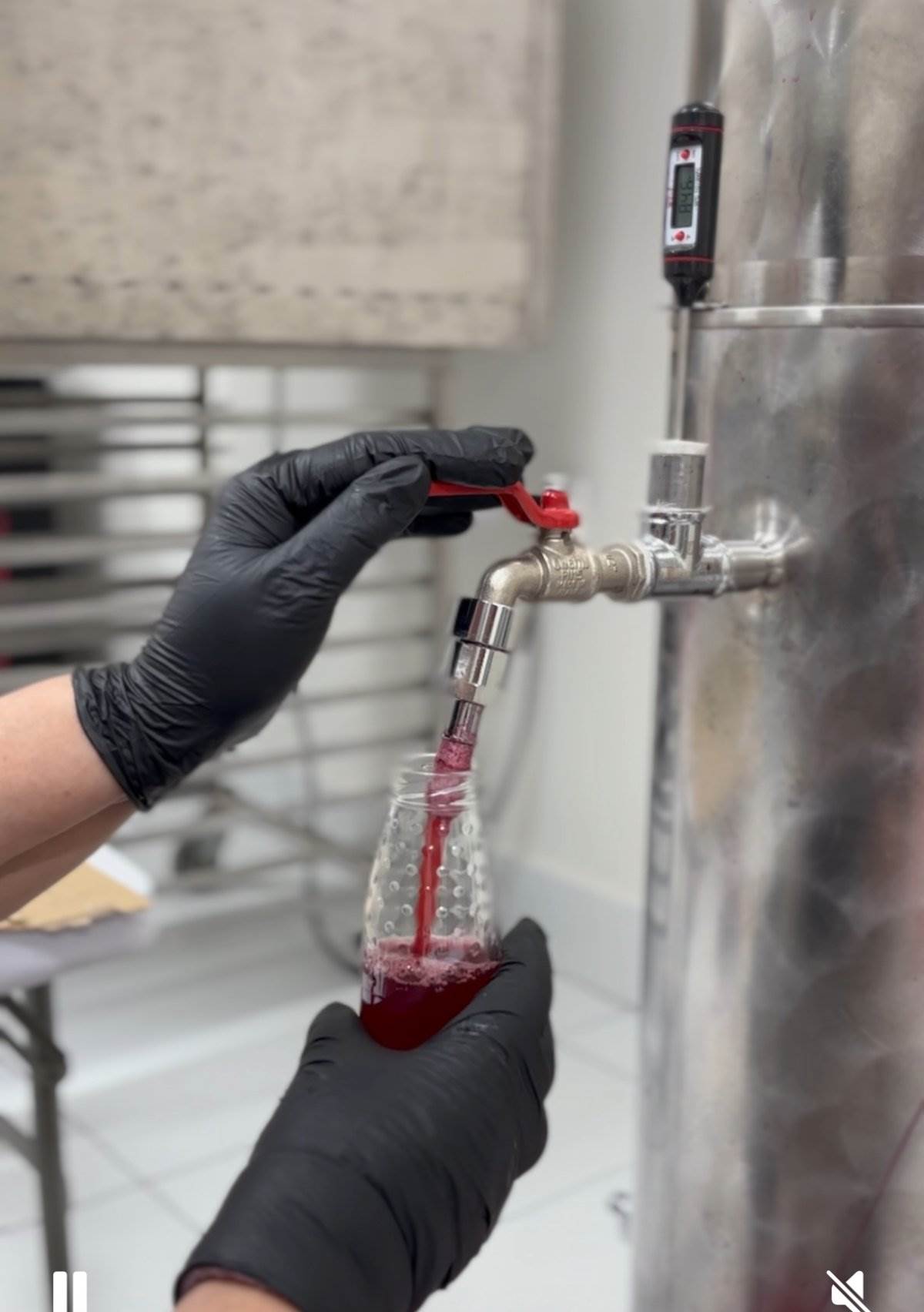 Dragica Lukić i proizvodi od maline