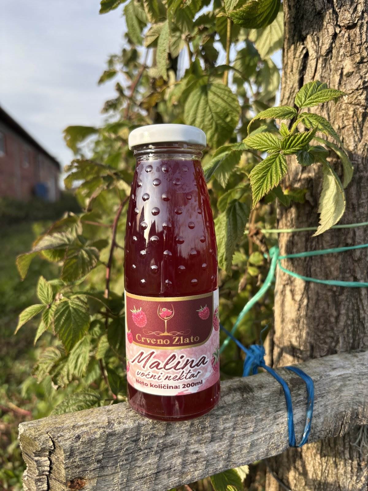 Dragica Lukić i proizvodi od maline