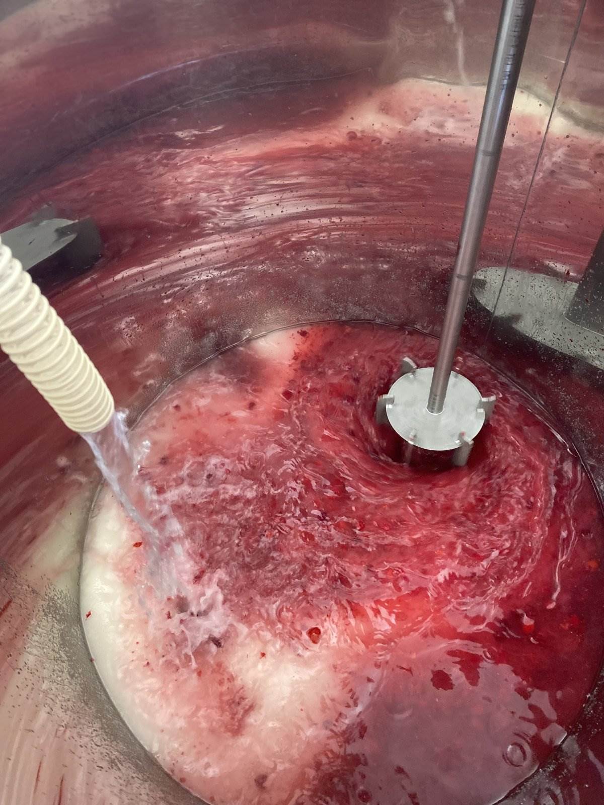 Dragica Lukić i proizvodi od maline