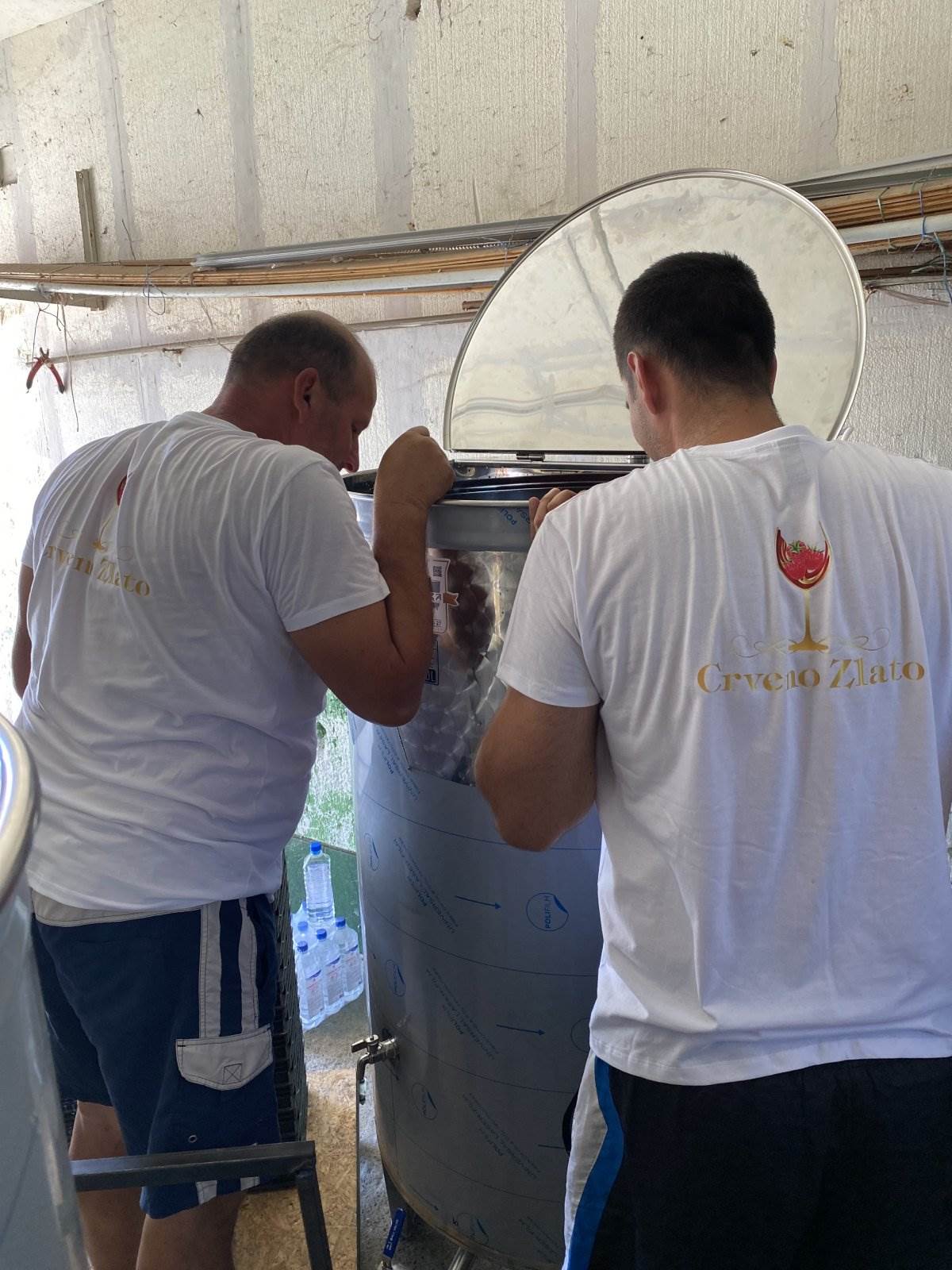 Dragica Lukić i proizvodi od maline