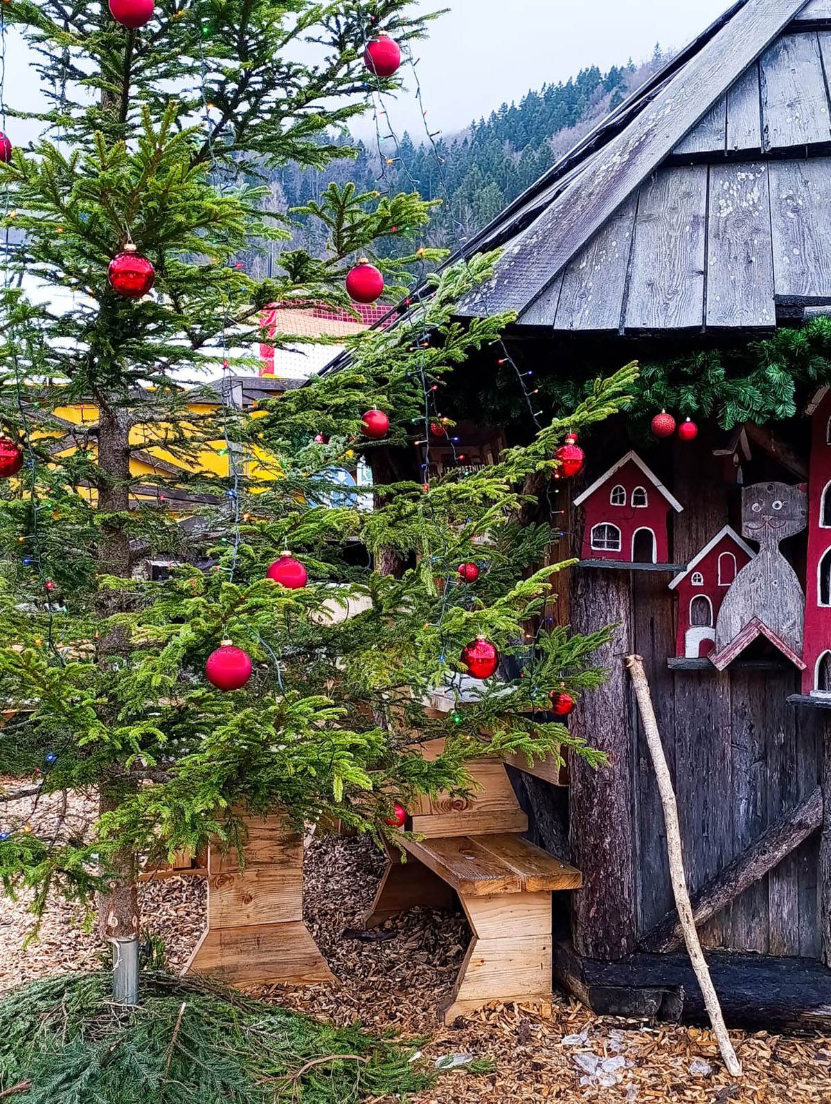 Slovenija Kosobrin (6).jpg